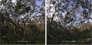 18 sigma 15mm hal 220 LF wo corr