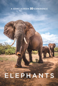 Elephants_KeyArt_Vert