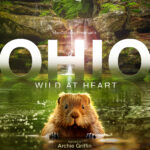 OHIO_KeyArt_FINAL_27x40