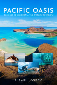 Pacific Oasis Key Art