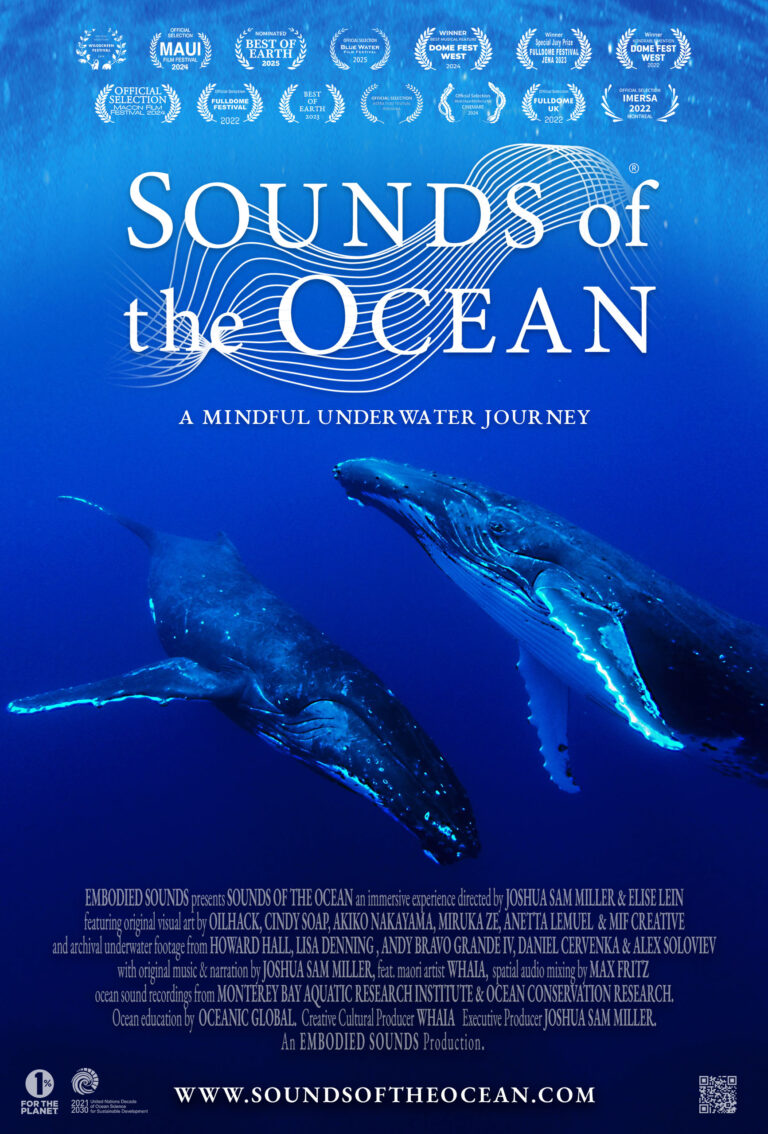 Sounds of the Ocean: A Mindful Underwater Journey