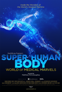 Superhuman Body