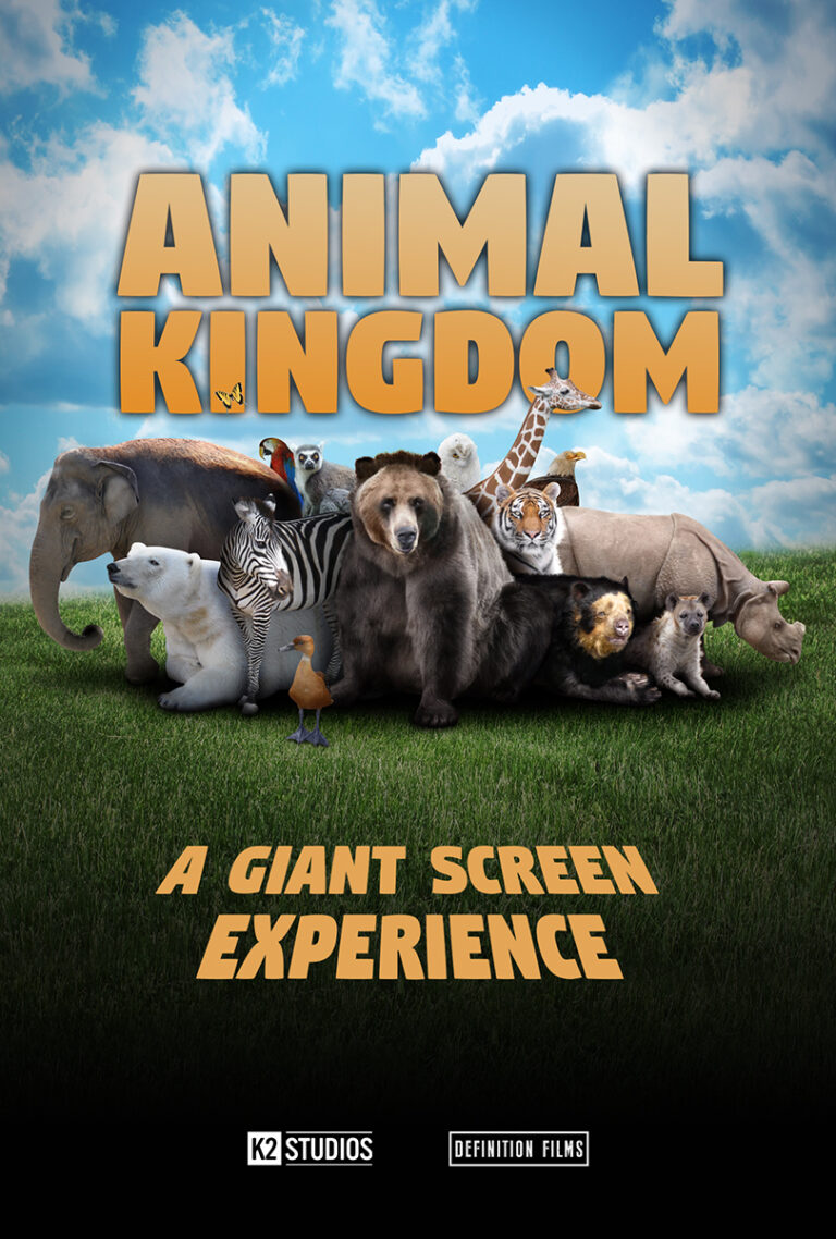 Animal Kingdom: A Tale of Six Families