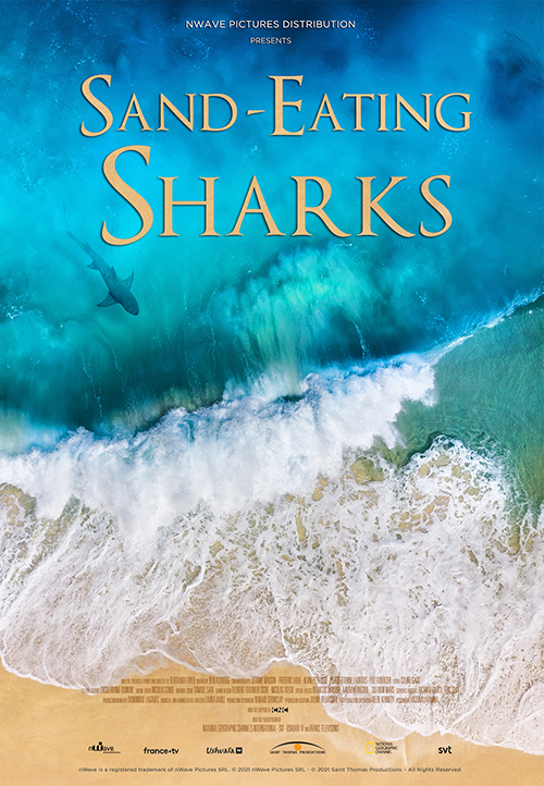 Sand-Eating Sharks