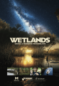 Wetlands