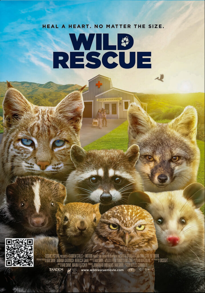 Wild Rescue